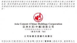 盧偉杰辭任亞洲水泥(中國(guó))公司秘書及授權(quán)代表