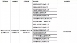 陜西134家串標(biāo)被通報(bào)，追究刑事責(zé)任！