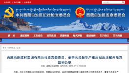 大搞權(quán)錢(qián)色交易!私分國(guó)有資產(chǎn)!這家水泥集團(tuán)原董事長(zhǎng)被雙開(kāi)!