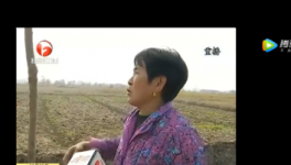 該地區(qū)農(nóng)田整治被揭搞豆腐渣工程，混凝土一捏粉粉碎！