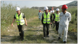 專家對上思縣華潤水泥有限公司綠色礦山創(chuàng)建工作進(jìn)行驗收考核