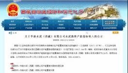 又一條新建水泥產(chǎn)能將落地！