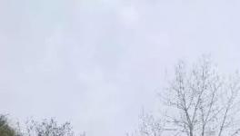 這家水泥廠破壞青山、污染環(huán)境何時休？