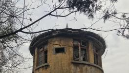 江南水泥廠被指保護(hù)不力，回應(yīng)稱原因復(fù)雜