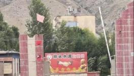 村民舉報(bào)：已關(guān)停許久的水泥廠又開始生產(chǎn)，粉塵污染嚴(yán)重