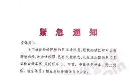 狼來(lái)了！這家水泥廠已有員工被抓傷！
