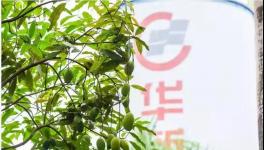 人與自然和諧相處！水泥廠迎來神秘訪客！