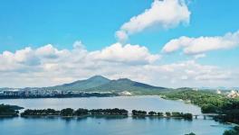 緊急通知！8月15日起推動(dòng)部分水泥企業(yè)退出！9月起實(shí)施階段性停產(chǎn)！