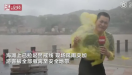 霸王級臺風席卷多省份!近1000家水泥銷售受影響！  