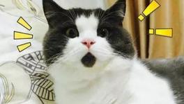 美！太美了！這些花園水泥廠您去過(guò)嗎！
