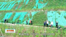 點贊！這一地區(qū)礦山生態(tài)環(huán)境恢復治理近200公頃！