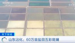 1噸海水超千元！廢料還能造水泥！