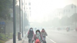 水泥停產(chǎn)！工地放假！物流停運！“春運”提前來了！