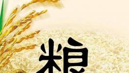 全球糧食市場異動，每個人都要提前應(yīng)對了！