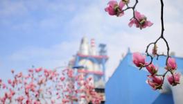 春色滿廠區(qū)，花園水泥廠來了！！