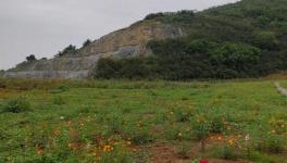 這家水泥企業(yè)喜獲2800萬(wàn)噸石灰?guī)r礦采礦權(quán)！