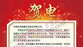 又是海螺水泥！創(chuàng)造世界水泥行業(yè)奇跡！