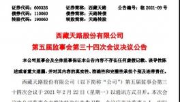 西藏天路股份有限公司高管人員任職大變動！