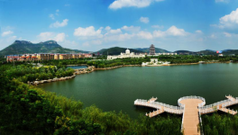 山東省棗莊市51條水泥立窯生產(chǎn)線(xiàn)全部關(guān)停！