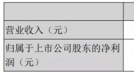 天山股份年報(bào)：2020年實(shí)現(xiàn)凈利潤(rùn)15.16億元！