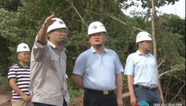 南方水泥上半年?duì)I收3.65億元！新項(xiàng)目推進(jìn)中！