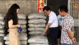 市場上這7個主要水泥品牌被質(zhì)量抽檢！