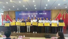 銅陵上峰:連續(xù)9年上榜“地方企業(yè)50強(qiáng)”！