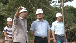 韶峰南方綠色建材產(chǎn)業(yè)園項(xiàng)目加緊推進(jìn)中！