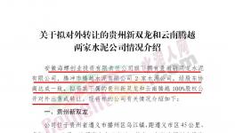 海螺創(chuàng)業(yè)擬對外轉(zhuǎn)讓這兩家公司100%股權(quán)！