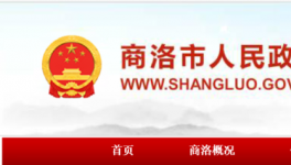 村民反映水泥路和泥巴一樣，政府回復(fù)了！