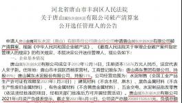 冀東水泥旗下公司破產(chǎn)清算！選聘專業(yè)機(jī)構(gòu)