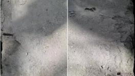 春江豐華水泥質量不合格！多地監(jiān)管部門全面督查！