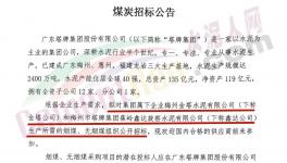 塔牌集團煤炭采購通知！
