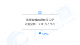 加速收購！海螺水泥在下一盤大棋！