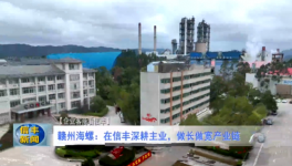 海螺子公司3條熟料生產(chǎn)線實(shí)現(xiàn)營收118億！