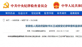 突發(fā)！海螺原董事長(zhǎng)被查！