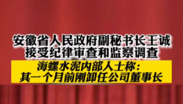 立案！海螺、華新、華潤(rùn)等多位高管被查！