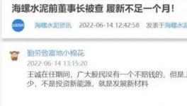 海螺蒸發(fā)1300億，逾700億元投資或存變數(shù)！