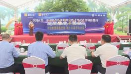 ?總投資額4775萬(wàn)元！華潤(rùn)水泥光伏項(xiàng)目開工?！