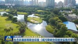 環(huán)保政策加嚴(yán)！氨逃逸不超標(biāo)這些企業(yè)做到了！