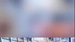 殺公雞！開窯！水泥廠“辟邪”！