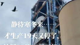 全停！最長200天！20個(gè)省水泥廠停產(chǎn)！
