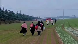 反撲！多省工地停工！水泥廠停發(fā)！商混站“告急”！