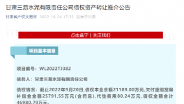 公告！多家水泥廠被賣！