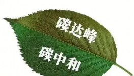 縫出匠心！這家環(huán)保企業(yè)脫穎而出！市場占有率名列前茅！