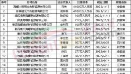 瘋狂！“上下”通吃！海螺連續(xù)成立50多家公司！