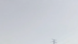 太慘！210元/噸低價(jià)水泥“傾銷”！停產(chǎn)來“救市”！