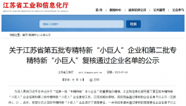 中建材環(huán)保院榮獲國(guó)家級(jí)專(zhuān)精特新“小巨人”企業(yè)稱(chēng)號(hào)